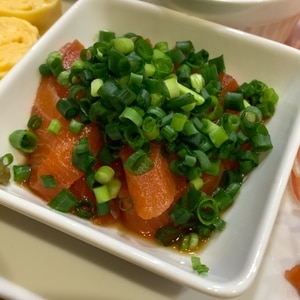 おつまみにも！サーモンの醤油漬け